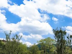 -黄陂区野村谷景区