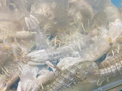 -港畔赶海蒸汽海鲜烧烤自助(仙螺岛店)