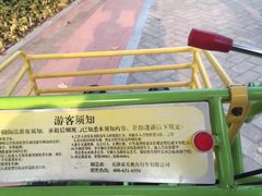 -野狸岛