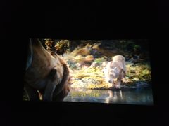 -博纳国际影城IMAX(中央大道店)