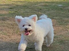 -杭州城北体育公园