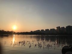 -南翔镇银翔湖公园