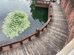 -八大山人梅湖景区