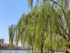 -泰丰公园
