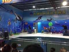 -水濂山乐民游艺园