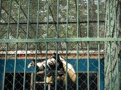 -秦皇岛野生动物园