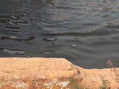 -沈阳森林动物园