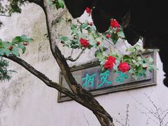 -留园