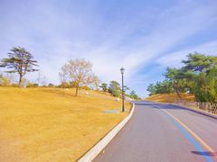 -小麦岛公园