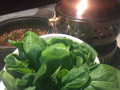 水煮鸡毛菜-初蓉丨遇见新川菜(亲贤街荣耀店)