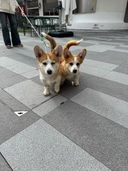 -WAVE SODA摄影工作室