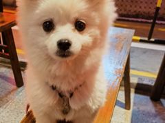 -万达文华酒店·48F云端窗景美食汇自助餐厅