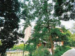 -成都市活水公园