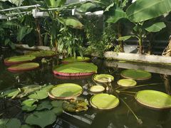 -国家植物园南园