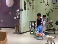 -藏猫猫咖啡主题馆(中央大道店)