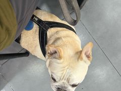 -张记汤馆(嫩江路店)