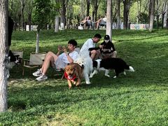 -爪吧宠物乐园 (温榆河示范区店)