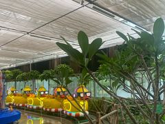 -南宫五洲植物乐园