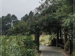 -铁山坪森林公园