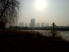 -曹州牡丹园