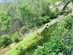 -白水寺森林公园