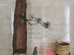 -九华山聚龙大酒店