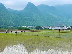 -万峰林风景区