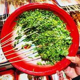 爱吃香菜和不爱吃香菜的人都沉默了！！！