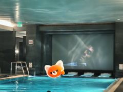 -丽思卡尔顿酒店泳池(金融街店)