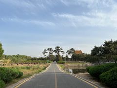 -清西陵