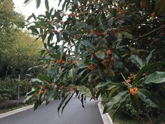 -宝界普菲特湖畔酒店