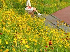 -白鹭湾湿地公园