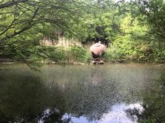 -南京市江宁方山