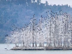-东湖落雁景区