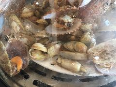 -港畔赶海蒸汽海鲜烧烤自助(仙螺岛店)