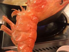 -鲜入围煮花胶鸡海鲜火锅