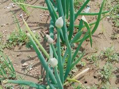 -胖哥俩肉蟹煲(宿迁宝龙广场店)