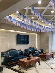 -碧莲盛·不剃发植发