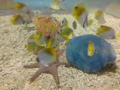 -北戴河圣蓝海洋公园