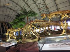 -辽宁古生物博物馆