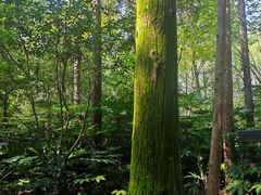 -狼山风景名胜区