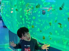 -左海海底世界