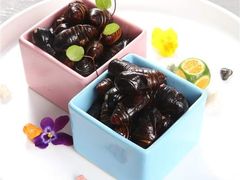 糟卤蚕蛹-奉天理·海鲜饺子