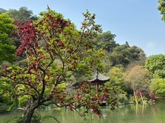 -云溪植物园