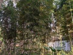 -成都杜甫草堂博物馆