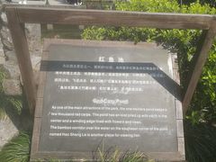 -西湖外事游船(花港观鱼码头)