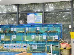水产区-锦里海景海鲜餐厅.三亚老字号(亚龙湾中心广场店)