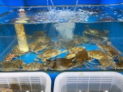 -桔子海鲜烧烤大排档(金沙滩店)