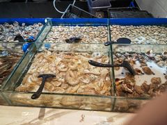 -川骄海鲜自助(亚运村店)