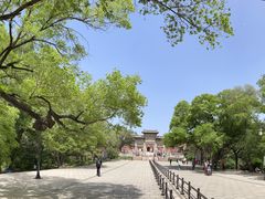 -北陵公园